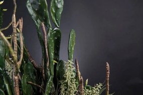 Aranjament floral elegant, design LUX ETERNITY FIG BRANCH GIANT