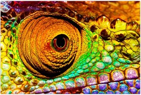 Tablou - Cameleon (90x60 cm)