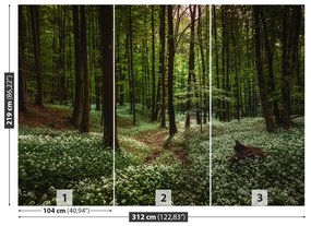 Fototapet Spring Forest