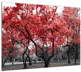 Tablou pe sticlă - Copacii roșii, Central Park, New York (70x50 cm)