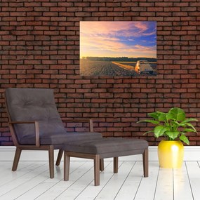 Tablou - Mașină galbenă ăn câmp (70x50 cm)