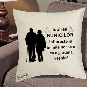 Cadou pentru Bunici - Perna Personalizata Bunicii Iubirea Infloreste Silueta Neagra Flori, 40x40 cm, Ecru, Husa Detasabila, Perna Inclusa, BEKZ®