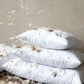Pernă interioară cu umplutură din pene și puf de rață, 600 g, L52/l37 cm
