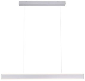 Lustră LED dimabilă pe cablu ARINA LED/20W/230V Paul Neuhaus 8363-55