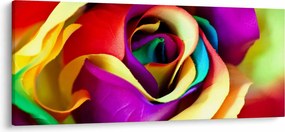 Tablou - Trandafir colorat (120x50 cm)