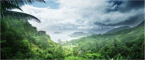 Tablou -Jungla din Seychelles (120x50 cm)