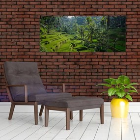 Tablou cu terasele cu orez Tegalalang, Bali (120x50 cm)