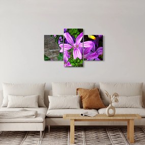 Tablou -flori de câmp (90x60 cm)