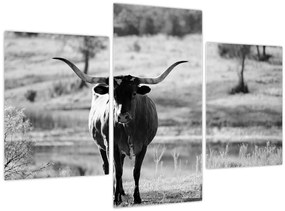 Tablou - Vacă,alb-negru (90x60 cm)