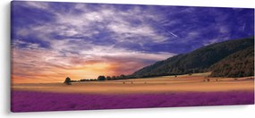 Tablou cu lunca cu lavandă (120x50 cm)