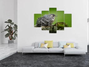 Tablou - Muscarul (150x105 cm)