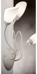 Jupiter 2064 - Aplică de perete GLORIOSA 3xG9/14W/230V, crem