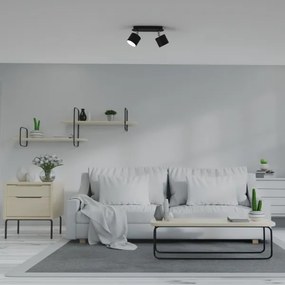 Spot DIXIE 2xGX53/11W/230V negru