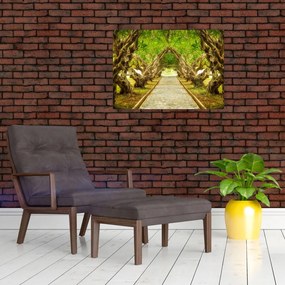 Tablou pe sticlă - Tunel viu din plumeria (70x50 cm)