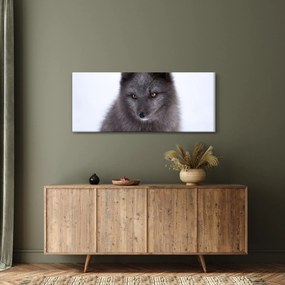 Tablou cu vulpe polară (120x50 cm)
