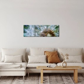 Tabloul cu păpădie desflorit (cu ceas) (90x30 cm)
