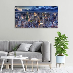 Tablou pe pânză canvas New york pasăre de zbor
