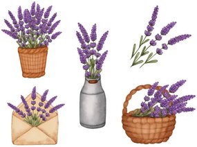Ilustrație Set watercolor lavender bouquet in bucket,, Evgeniya Sheydt