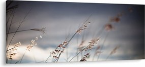 Tablou -Flori de luncă (120x50 cm)
