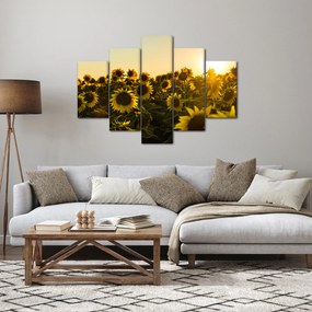 Tablou cu lan de floarea soarelui (150x105 cm)