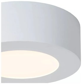 Lucide 28116/11/31 - LED Plafonieră dimmabilă BRICE LED/8W/230V IP44