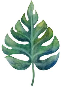 Ilustrație Watercolor green monstera leaf isolated on, Anastasiia Dubitskaia