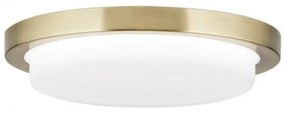 Plafoniera LED moderna LEROX 20cm alama antique