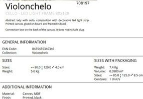 Tablou cu iluminat LED imprimat pe panza Violonchelo 80x120cm