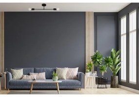 Lustră aplicată CAMBRIDGE 2xE27/15W/230V neagră