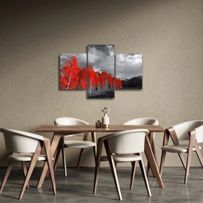 Tablou - Copaci în culorile toamnei (90x60 cm)
