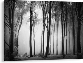 Tablou - Lup în pădurea întunecată (70x50 cm)