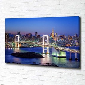 Pictură pe pânză Podul din tokyo