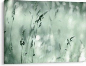 Tablou - Pajiște verde (70x50 cm)