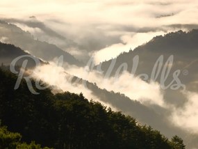 Tapet Mountain View, Rebel Walls