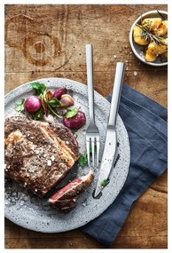 Set tacâmuri pentru friptură din oțel inoxidabil WMF Nuova