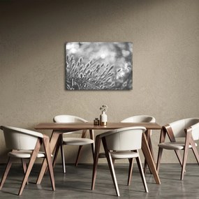 Tablou - Iarbă moale bej N⁰1 (70x50 cm)
