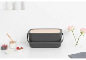 Cutie de paine Brabantia Nic 1003255, 39.5 cm, Capac din bambus, Maner de transport, Gri
