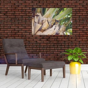Tablou cu veverița în copaci (90x60 cm)