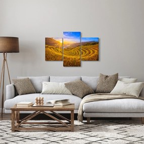 Tablou - Terasele de orez din Vietnam (90x60 cm)
