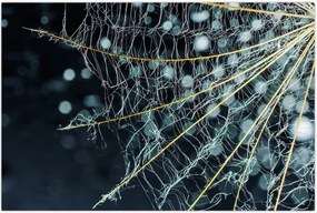 Tablou - Floare cu pânză de pâianjen (90x60 cm)