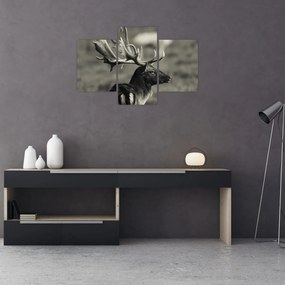 Tablou - Cerb (90x60 cm)