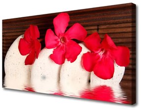 Tablou pe panza canvas Pietrele florale flori Roșu Alb
