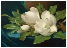 Tablou pe sticlă - Martin Johnson Heade, Giant Magnolias on a Blue Velvet Cloth, reproducere (70x50 cm)