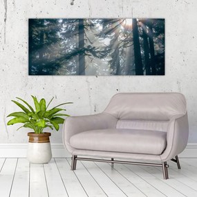 Tablou cu copaci și soarele translucind (120x50 cm), în 40 de alte dimensiuni noi