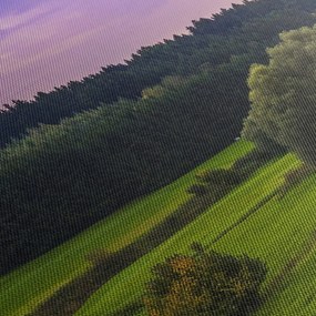 Tablou cu lunca (120x50 cm)