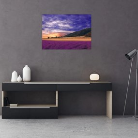 Tablou pe sticlă cu lunca cu lavandă (70x50 cm)