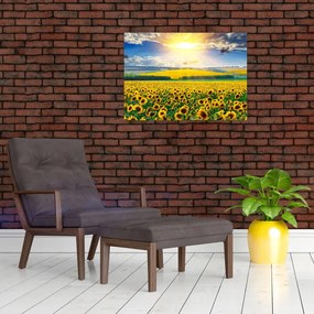 Tablou pe sticlă - Câmp cu floarea soarelui (70x50 cm)