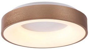 Rabalux 5052 - Plafonieră LED CARMELA LED/30W/230V