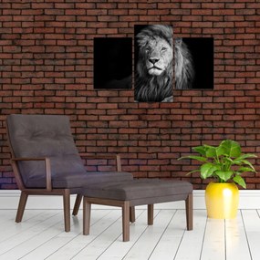 Tablou - Leu, alb și negru (90x60 cm)