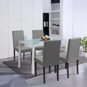 Set de masă Mira 4+1 alb-gri